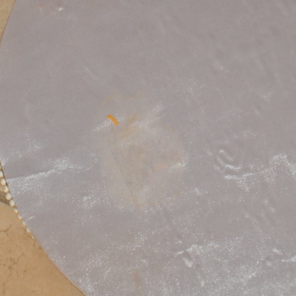 KIM SEYBERT WHITE PAISLEY CHRISTMAS HOLIDAY CRYSTAL PLACEMAT CHARGER CENTERPIECE - Picture 8 of 8